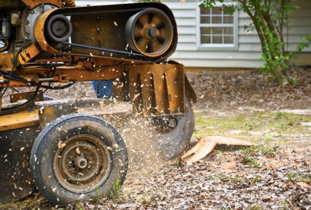 stump removal in south dakota